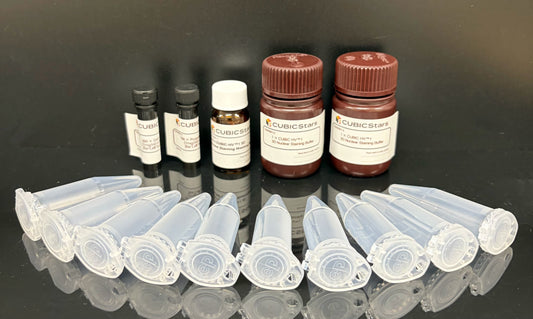 [CSSR001]CUBIC-HV 1 3D nuclear staining kit (Number of samples processed: 10 tests)